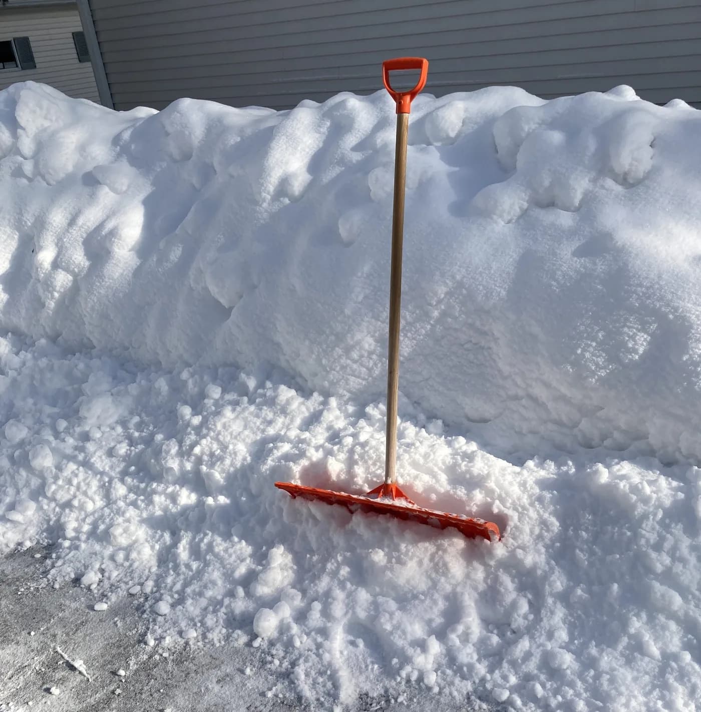 A snow pusher standing in a cleared snowbank beside a swept concrete walk